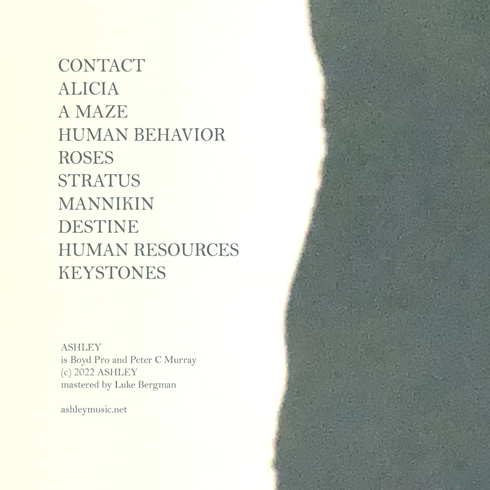 Human Behavior Album Back Cover